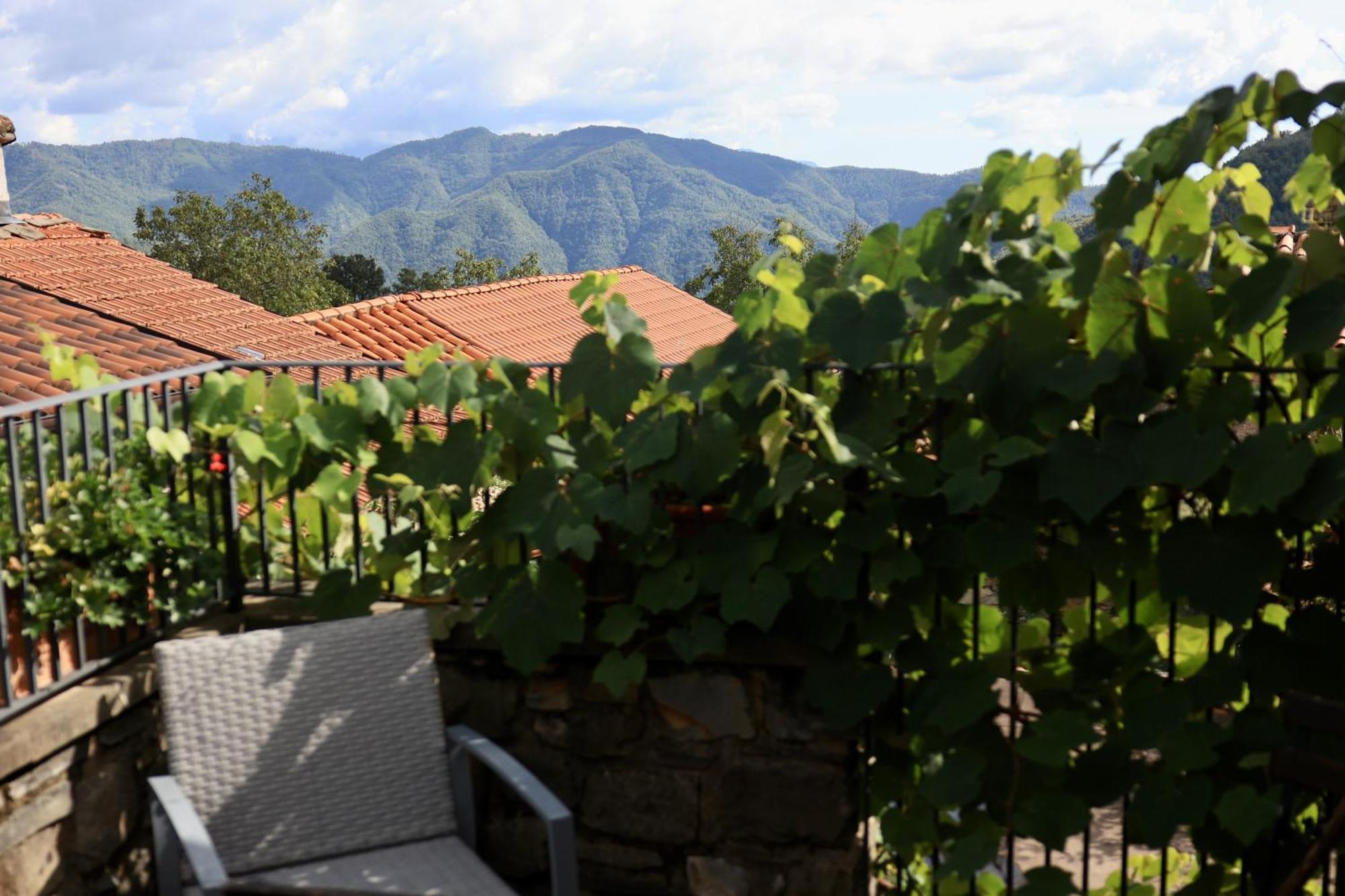 Agriturismo Montagna Verde Apella Licciana Nardi Eksteriør bilde