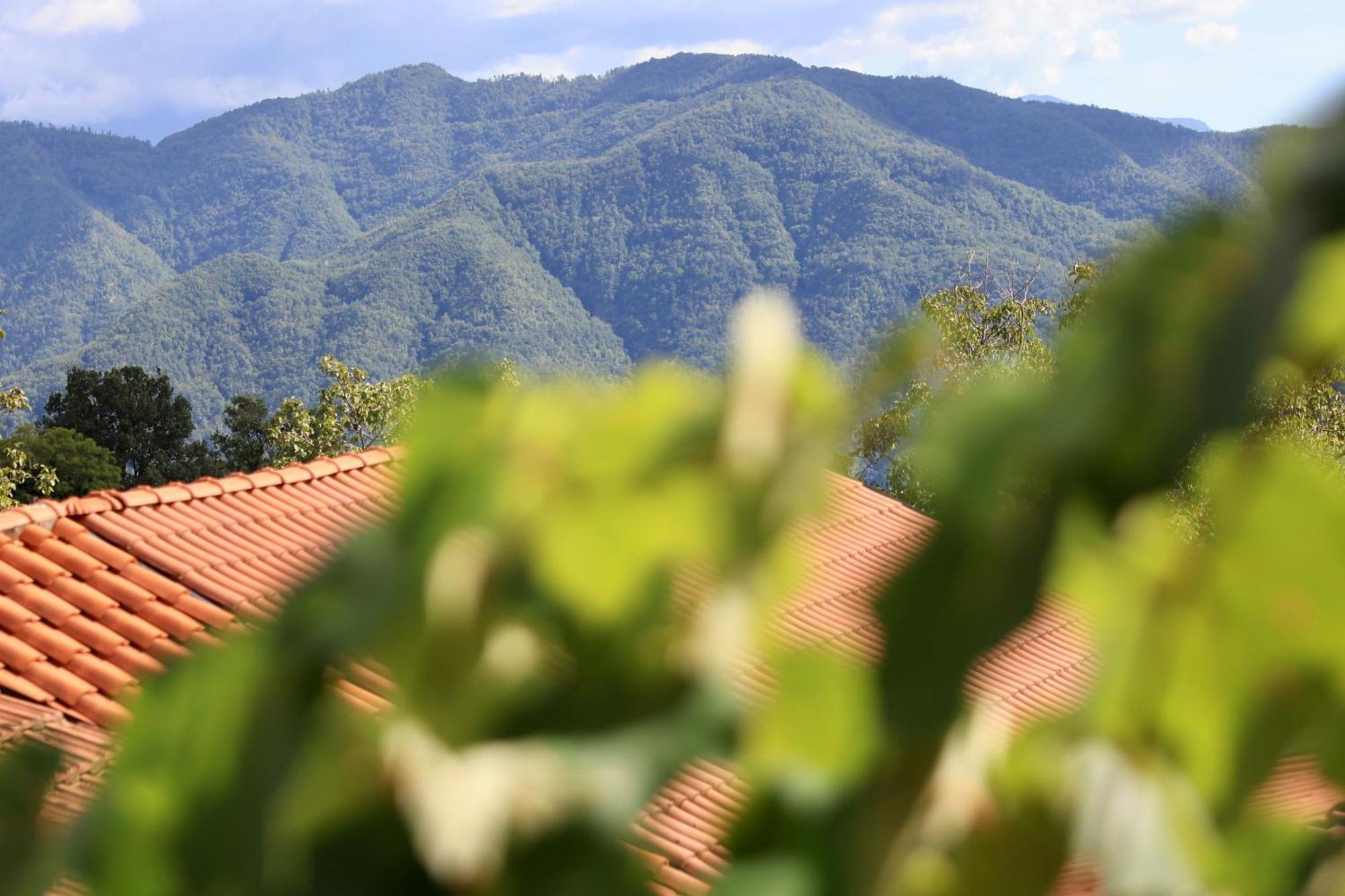 Agriturismo Montagna Verde Apella Licciana Nardi Eksteriør bilde